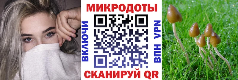 Псилоцибиновые грибы прущие грибы закладка Балей